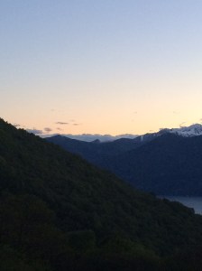 0157abcc1a277c1fb54fcc9d50126570ee6dd6aa0f